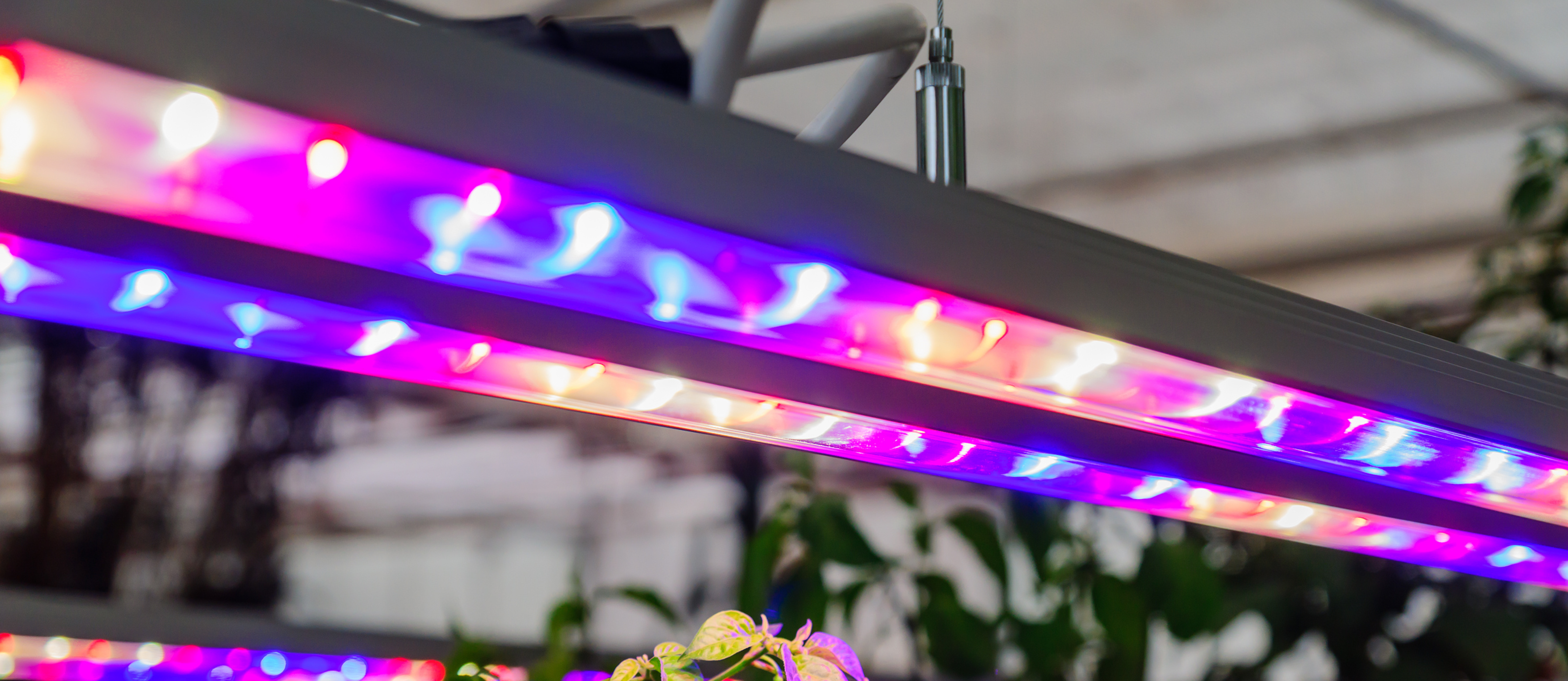 Industrial LED Lighting